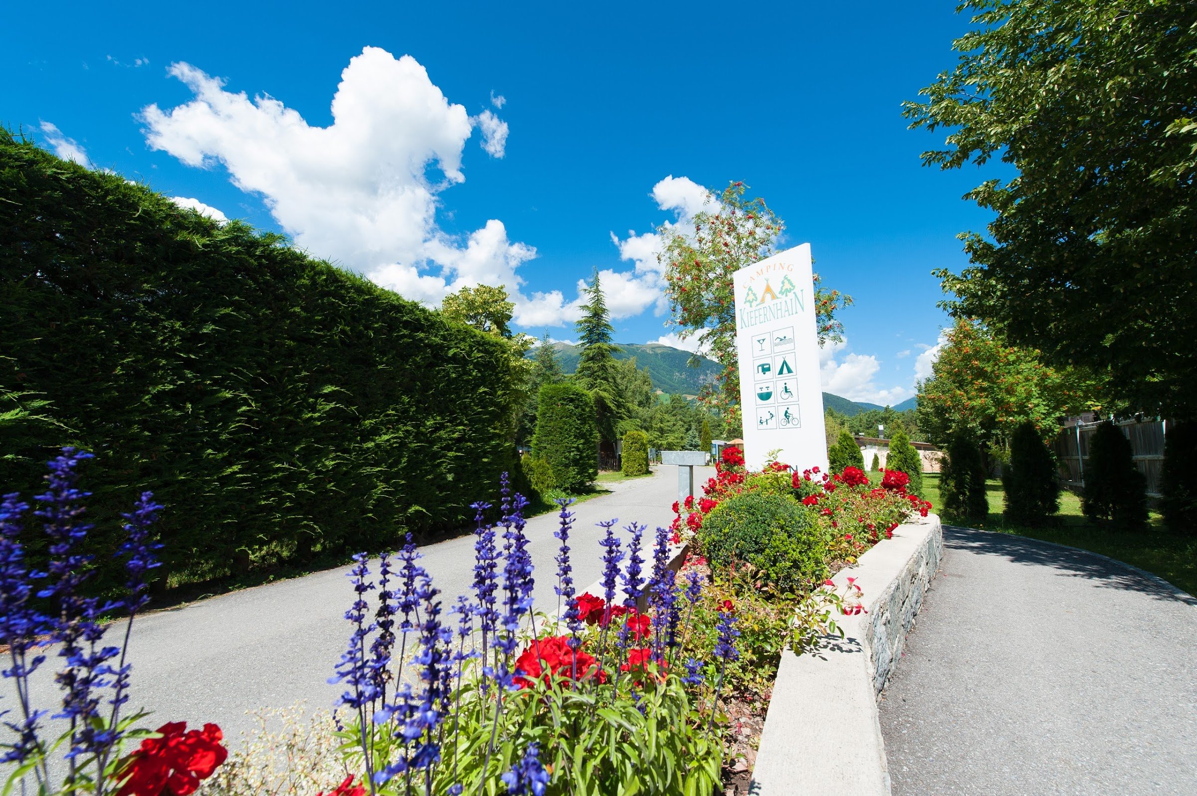 Camping Kiefernhain GmbH